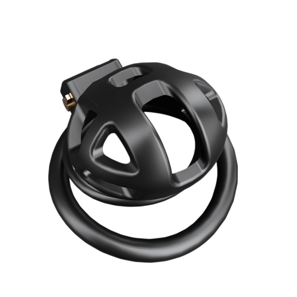 Κλωβός πέους Impound Sentinal